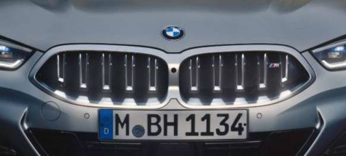 BMW Niere mit Iconic Glow